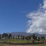 Cozy Wild * Los Cristianos (Tenerife)