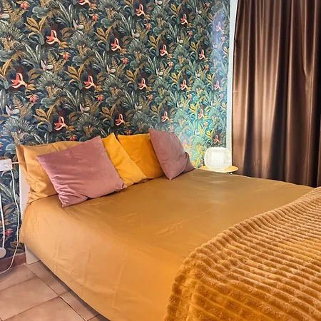 Cozy Wild Daire